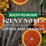 Old Spice Healthy Feeling Shampoo, thumbnail image