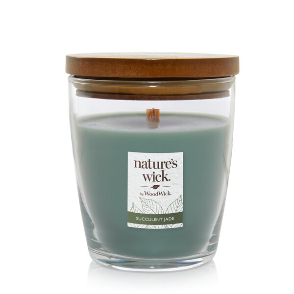 Nature's Wick Succulent Jade Crackle Burning Jar Candle, 10 oz