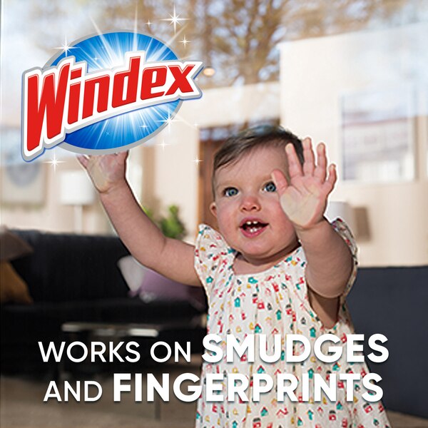Windex with Vinegar Glass Cleaner, Spray Bottle, 23 fl oz