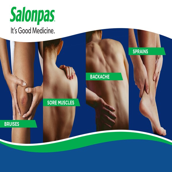Salonpas Pain Relieving Patch, Large, 6 CT
