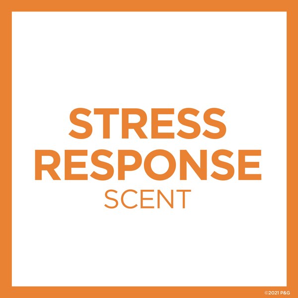Secret Clinical Strength 72-Hour Antiperspirant & Deodorant Stick, Stress Response, 1.6 OZ