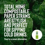 Total Home Earth Essentials Compostable Paper Straws 50 ct, thumbnail image 5 of 12