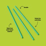 Total Home Earth Essentials Compostable Straws, 50 ct, thumbnail image 2 of 11