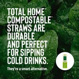 Total Home Earth Essentials Compostable Straws, 50 ct, thumbnail image 4 of 11