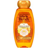 Garnier Whole Blends Moroccan Argan & Camellia Oil Extracts Illuminating Shampoo, thumbnail image 1 of 6