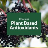 Nature's Bounty Elderberry Sambucus 630mg Softgels, 120 CT, thumbnail image 2 of 7