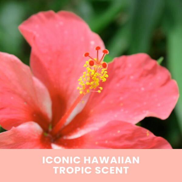 Hawaiian Tropic Sunless Tanning Foam, Dark, 6.7 OZ