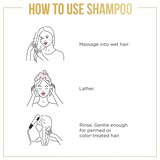 Pantene Pro-V Classic Clean Shampoo, thumbnail image 4 of 12