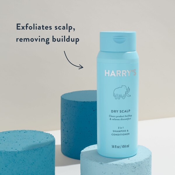 Harry's Dry Scalp 2-in-1 Shampoo & Conditioner, 14 OZ