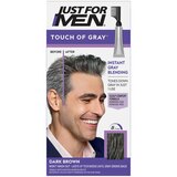 Just For Men Touch of Gray Instant Gray Blending Hair Color, thumbnail image 1 of 6