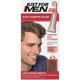 Just For Men Easy Comb-In Color Targeted Gray Coverage Hair Color, thumbnail image 1 of 6