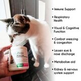 All-In-1 Cat Supplement & Multivitamin, thumbnail image 4 of 8