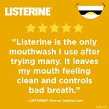 Listerine Antiseptic Mouthwash for Bad Breath, Plaque, and Gingivitis, Original, thumbnail image 2 of 14