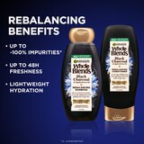 Garnier Whole Blends Black Charcoal and Nigella Flower Oil Rebalancing Shampoo, thumbnail image 3 of 7
