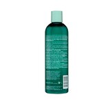 HASK Tea Tree Oil & Rosemary Invigorating Shampoo, 12 OZ, thumbnail image 3 of 3