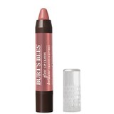 Burt's Bees Gloss Crayon, thumbnail image 1 of 9