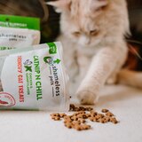 Shameless Pets Catnip N Chill Crunchy Cat Treats, thumbnail image 3 of 3