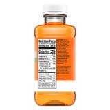 Hydralyte Advanced Hydration Prebiotic Solution, Orange, 16.9 OZ, thumbnail image 2 of 4