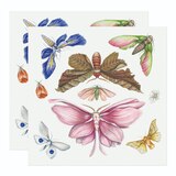 Tattly Temporary Tattoos, Large Designs, thumbnail image 3 of 3