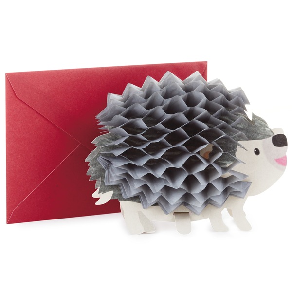 Hallmark Pop Up Birthday Card (3D Honeycomb Hedgehog) E2